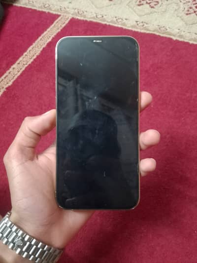 Apple iPhone 12 Pro Max