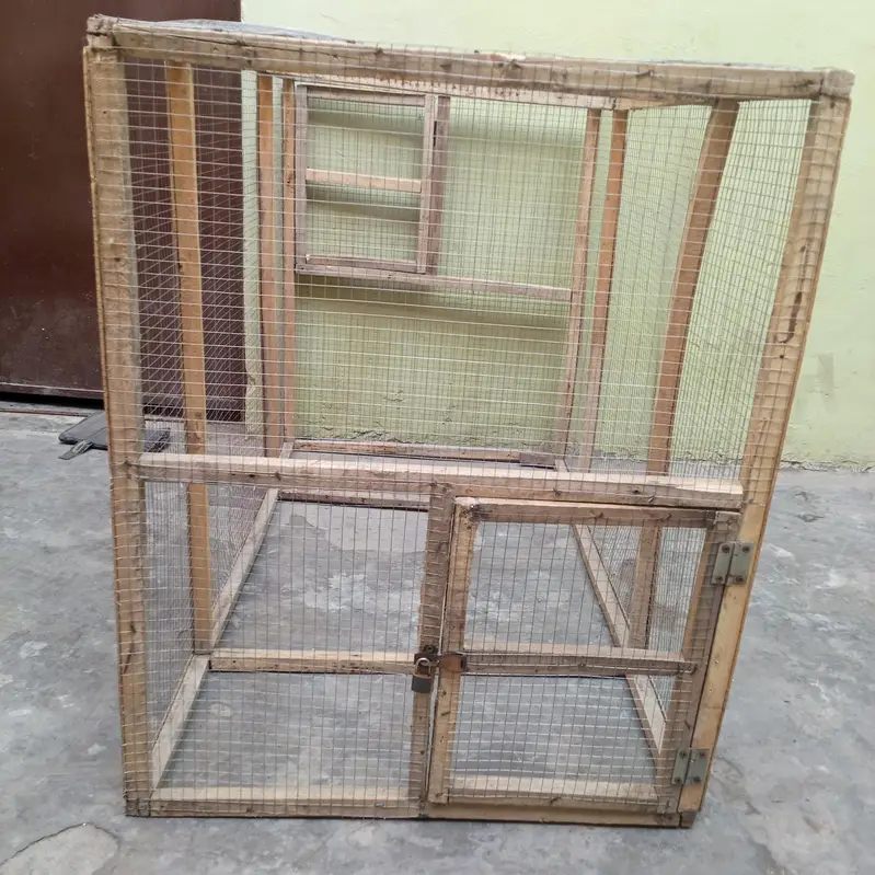 Aseel, Hens, Parrots And All Birds Cages