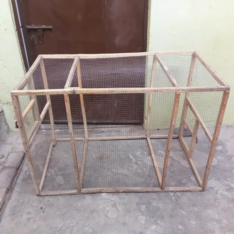 Aseel, Hens, Parrots And All Birds Cages — photo 2
