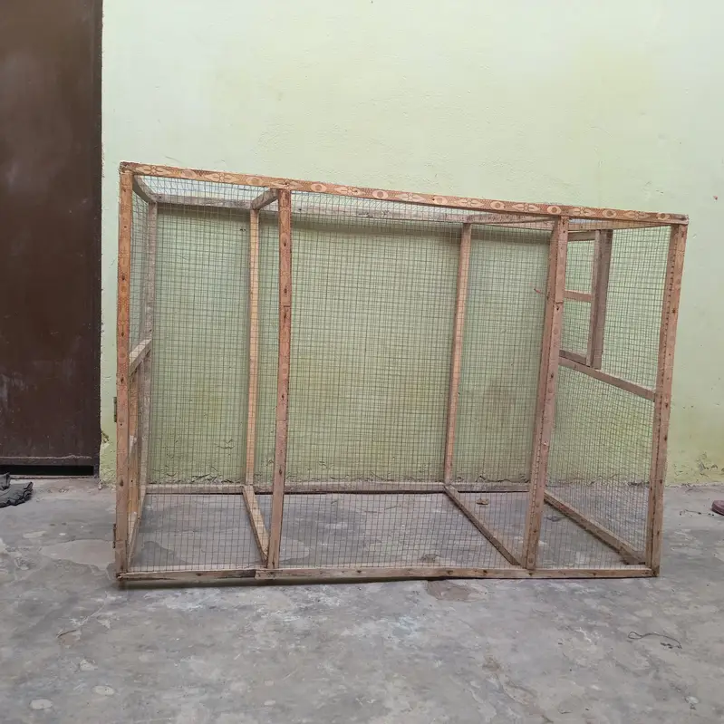 Aseel, Hens, Parrots And All Birds Cages — photo 3
