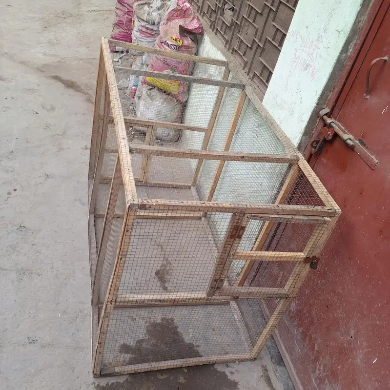 Aseel, Hens, Parrots And All Birds Cages — photo 4