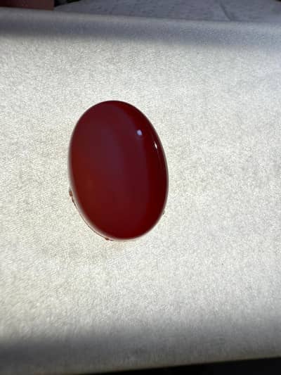 Amber gem | beautiful oval shaped Amber