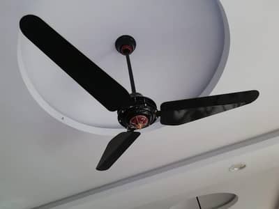 Premium Ceiling Fans for Sale