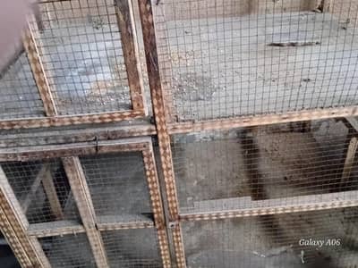 aseel hen cage double portion