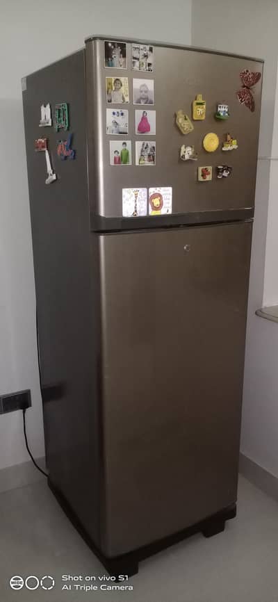 Referegerator Hire 14 cubic feet