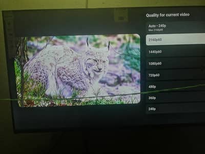 wega company 43" ki led tv ultra HD screen with voice remote