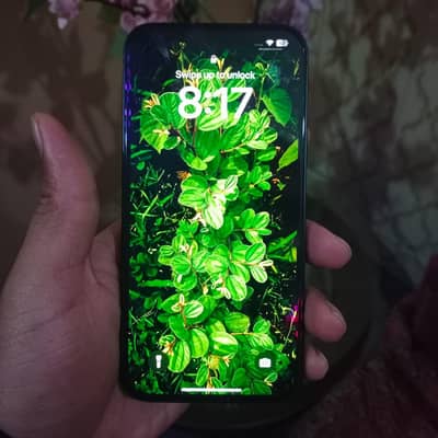 Iphone 13 with Box & Charger 100% Health