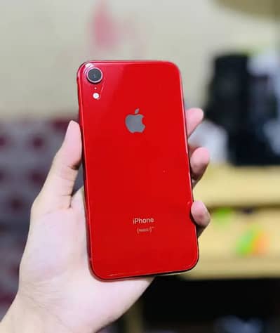 Iphone xr 10/10 urgent sale i