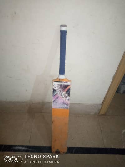 cricket bat