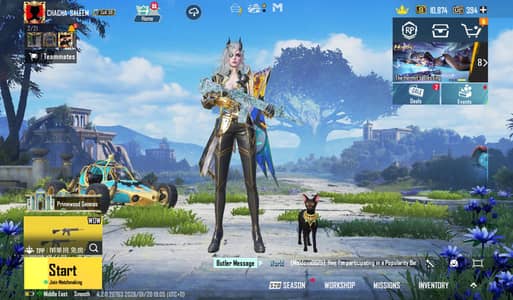 PUBG Gaming ID Available | Serious Buyers Only