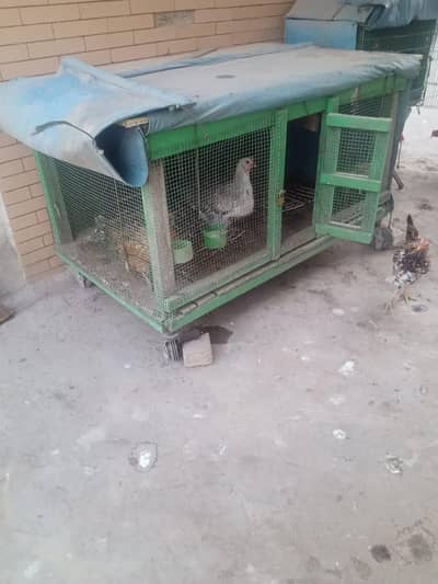 Hen cage