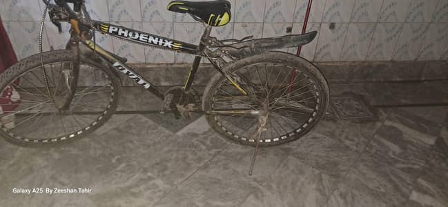 Phoenix cycle for sale