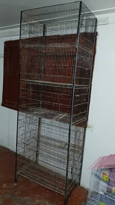 Birds cage