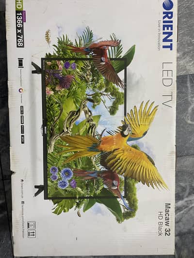 Orient Macaw 32 HD Black LED TV