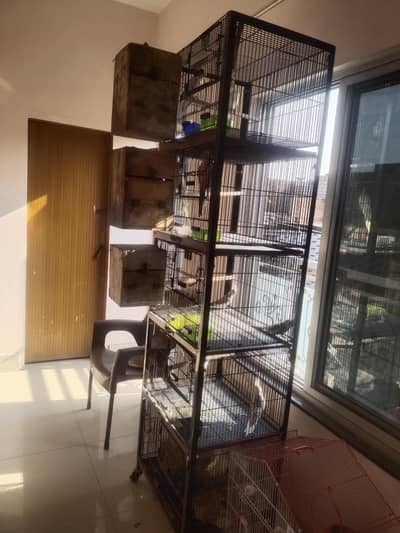 Ali cage for sale 5 portion