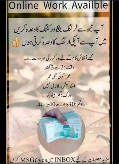 Contact only whatsapp