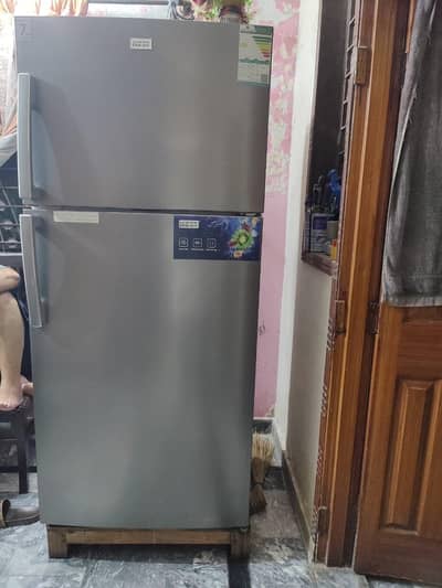 GENERAL GOLDY NO FROST 10/10