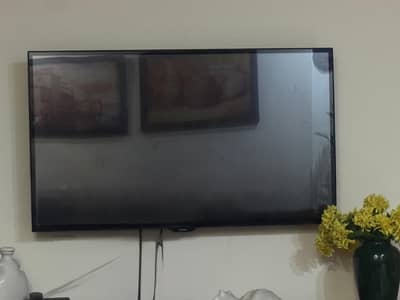 45 inch LCD