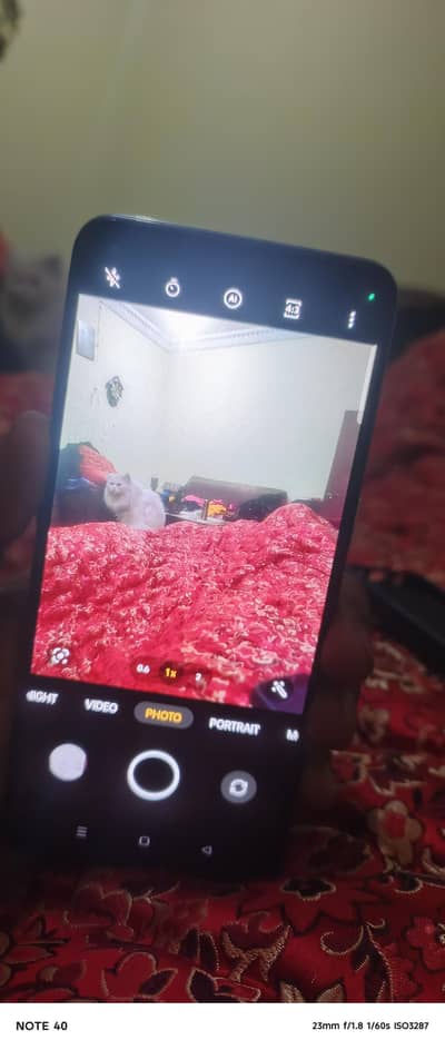 oppo reno 6 pta   box charger 50w original 8.128