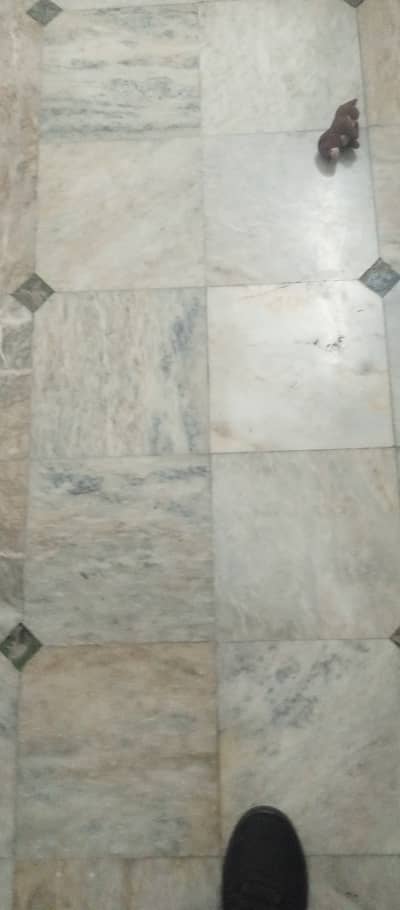 Order Booker & Delivery Rider