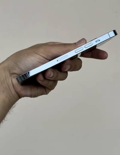 iPhone 13pro watrpak