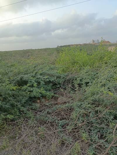 4800 Square Yards Industrial Land In Port Qasim For Sale