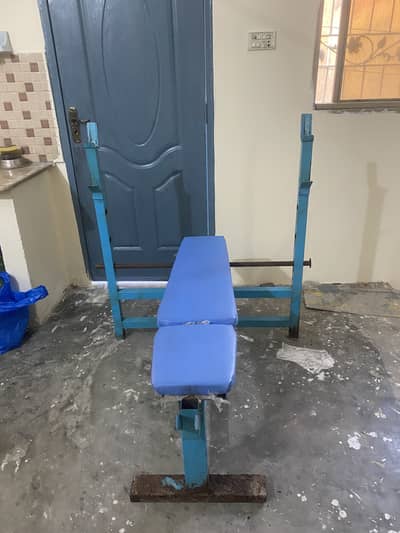 Adjustable Bench Press / Barbell Rods / Dumbbells / Weight Plates