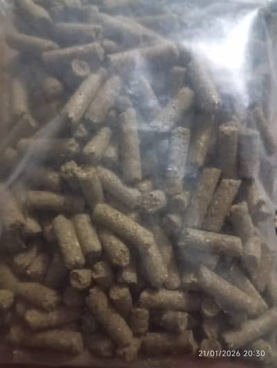 goats and sheeps K leay total mix ration