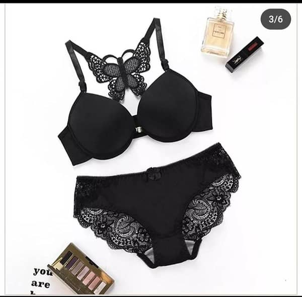 Elegant Butterfly Lace Bra & Panty Set