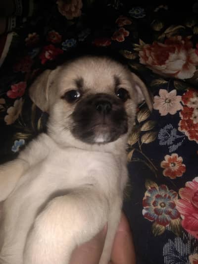 this female is so pretty and neat and clean