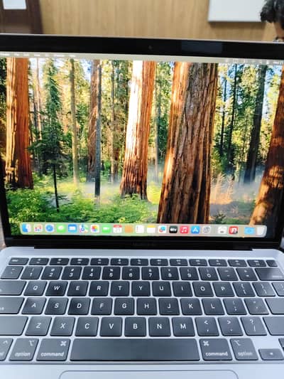 M1 2020 8 gb 256 gb 89 percent 179 counts