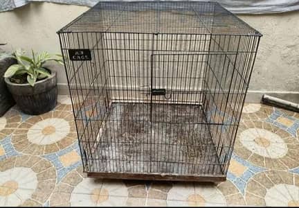 cage 4 sale