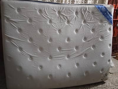 Master Celeste Eternal soft