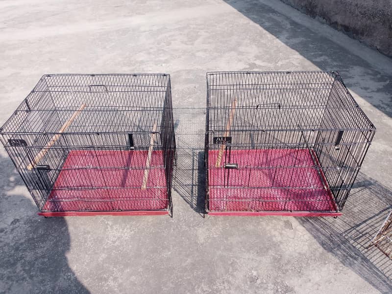 cages 1
