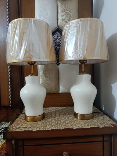 Lamp white colour pair