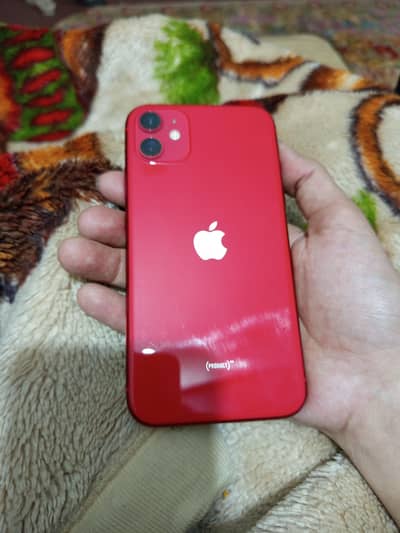 iPhone 11 pta Approved