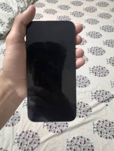 iPhone 13 Pro Max Jv