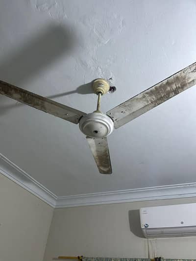 kitchen set, fan, LCD