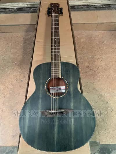 Traveler series professional acoustic guitar