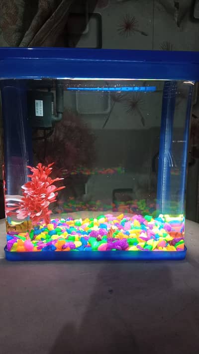 aquarium sale