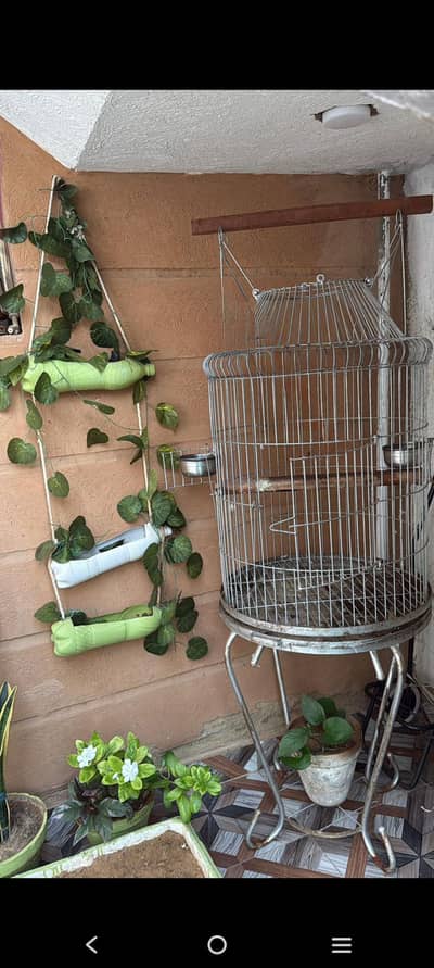 bird cage