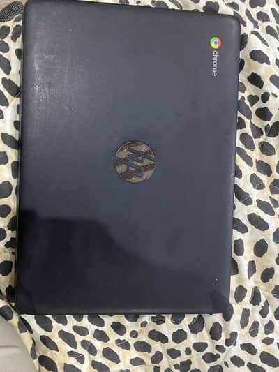 HP chromebook