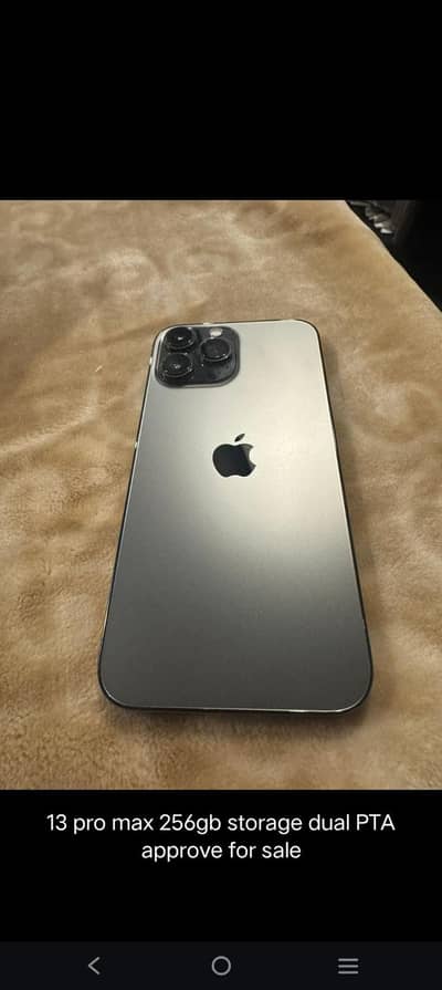 pta approved 13 pro max