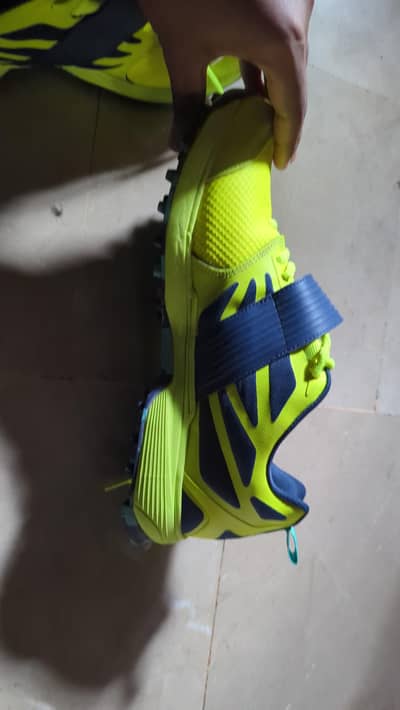 CA  GRIPPERS BIG BANG