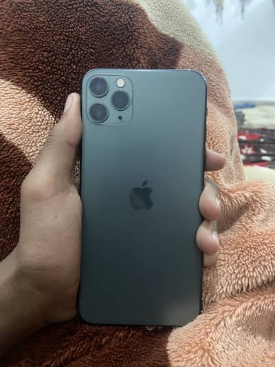 11 pro max (Panel changed)