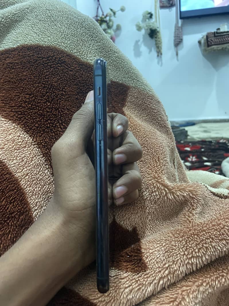 11 pro max (Panel changed) 1