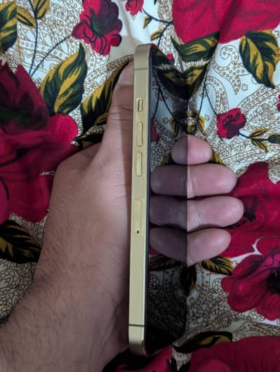 13 Pro PTA Official Approved