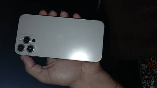 Apple iPhone 12 Pro Max