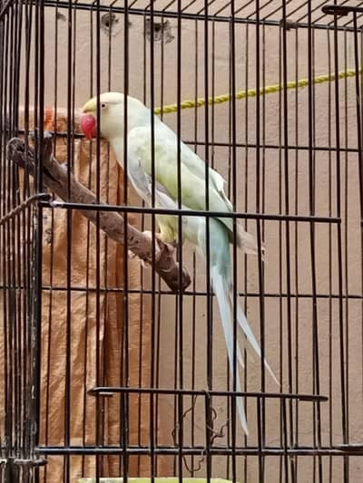 mzhudjr this rudrekbkfv ugh yet