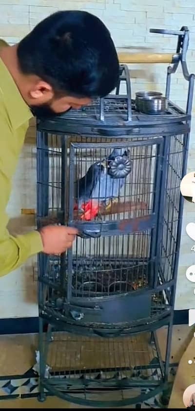 indoor cage  ((pinjra  only))